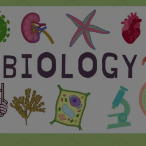 basic biology