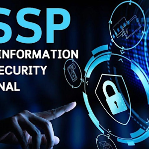 cissp courses.webp